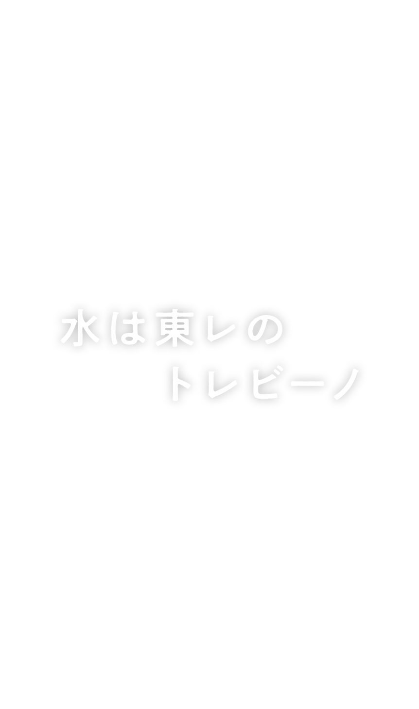 水は東レのトレビーノ